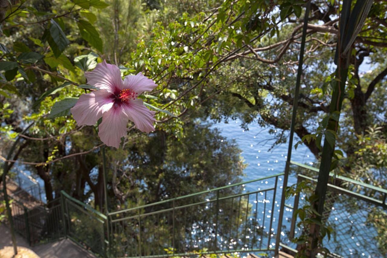 Amore Rentals - Villa Lo Scoglio Positano Ngoại thất bức ảnh