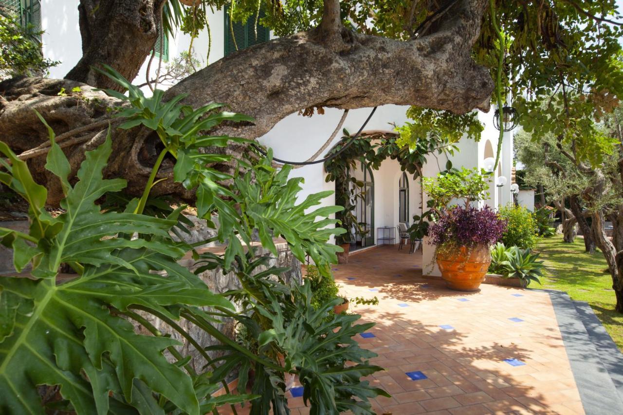 Amore Rentals - Villa Lo Scoglio Positano Ngoại thất bức ảnh